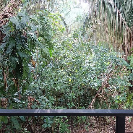 Selva Linda Lodge Vacation Rentals 奎波斯城 外观 照片