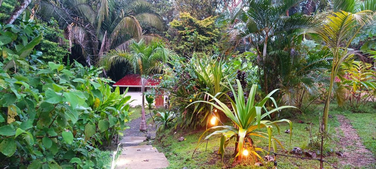 Selva Linda Lodge Vacation Rentals 奎波斯城 外观 照片