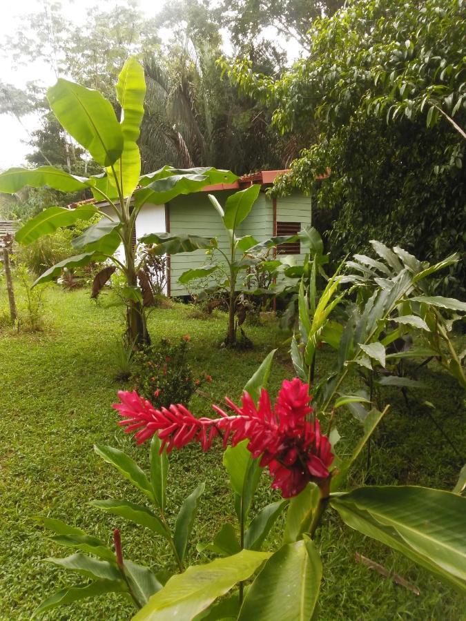 Selva Linda Lodge Vacation Rentals 奎波斯城 外观 照片