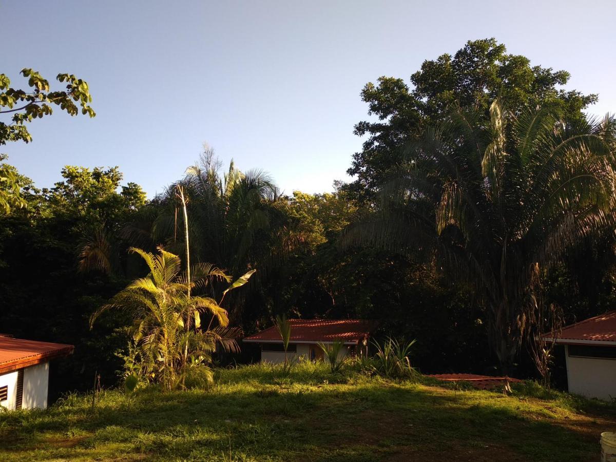 Selva Linda Lodge Vacation Rentals 奎波斯城 外观 照片